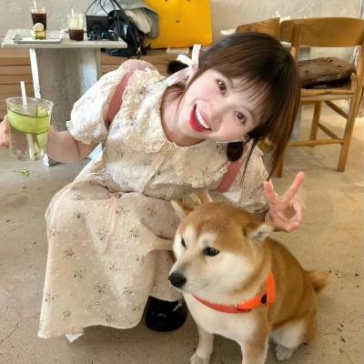 夜短梦长，少女前进吧！